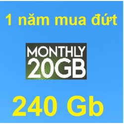 20Gb/tháng - Mua đứt 1 năm (miễn phí tháng)