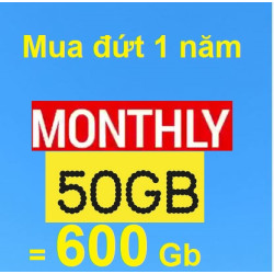 50Gb/tháng - Mua đứt 1 năm (miễn phí tháng)